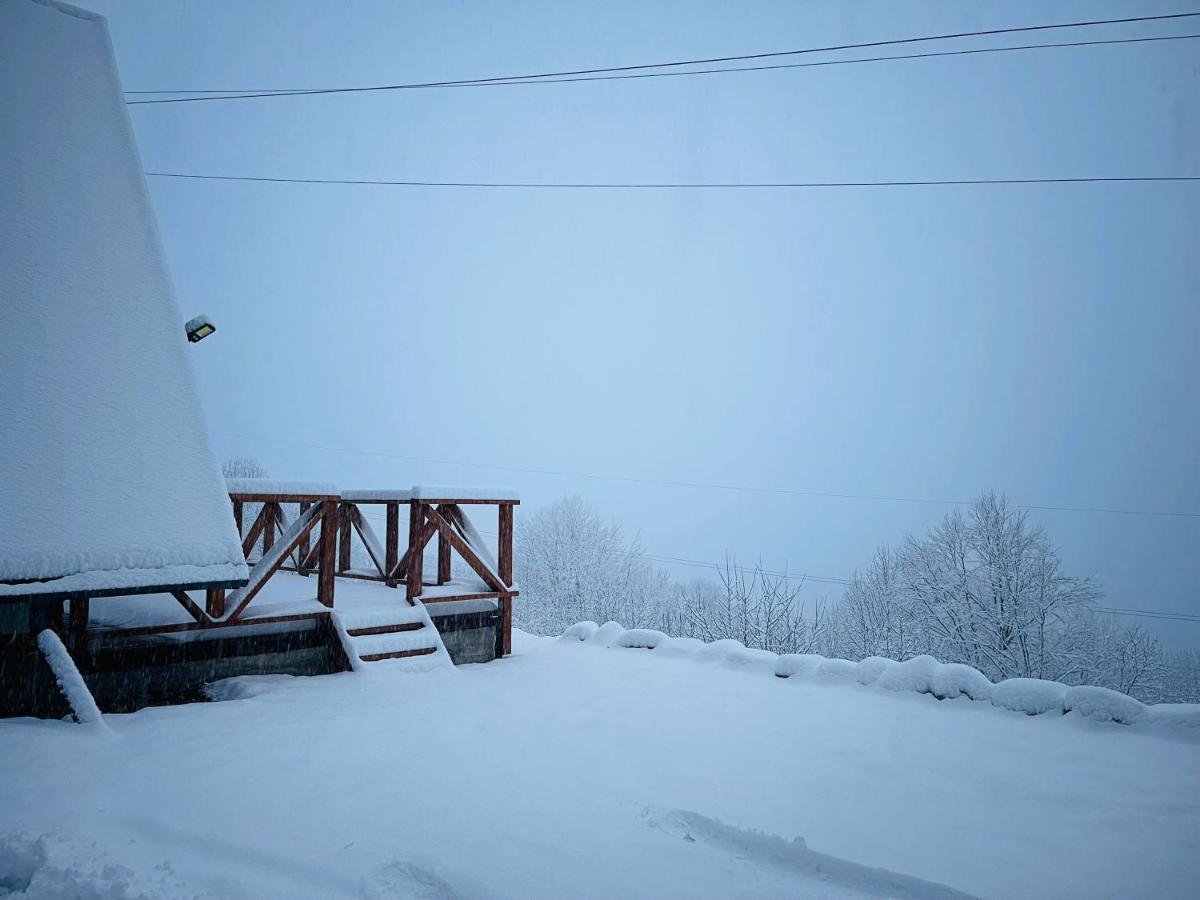 Wild Cabin Malaia Εξωτερικό φωτογραφία